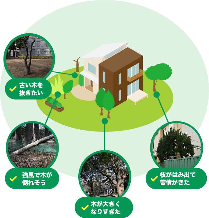 木が大きくなりすぎた｜敷地から木がはみ出て苦情がきた｜古い木を抜きたい｜強風で木が倒れてきそう