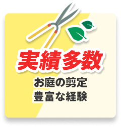 実績多数 お庭の剪定 豊富な経験