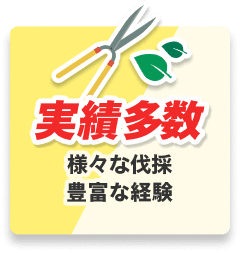 実績多数 様々な伐採 豊富な経験