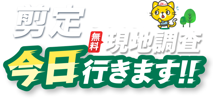 剪定 無料現地調査 今日行きます！！