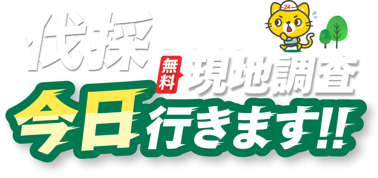 伐採 無料現地調査 今日行きます！！